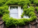 Démoussage de toiture et entretien des gouttières à La Chaux-de-Fonds 2300