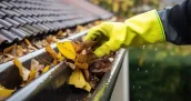 Démoussage de toiture et entretien des gouttières à Neuchâtel 2000