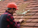 Démoussage de toiture et entretien des gouttières à Saint-Aubin-Sauges 2024