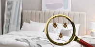 Traitement punaise de lit locaux, hôtel Savagnier 2065 – Spécialiste dans le Neuchâtel